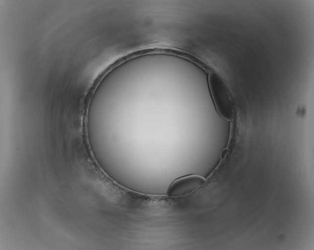 X0000113231316200909241513