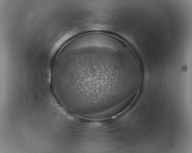 X0000113231317200909241513