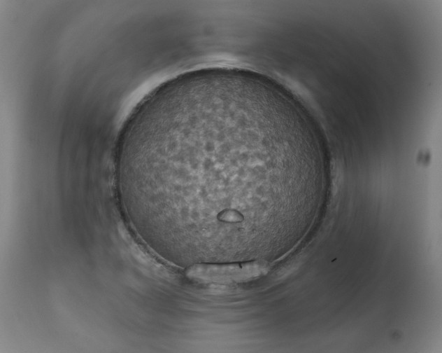 X0000113231318200909241513