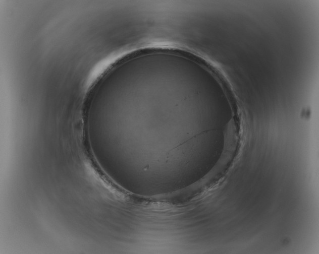 X0000113231319200909241513