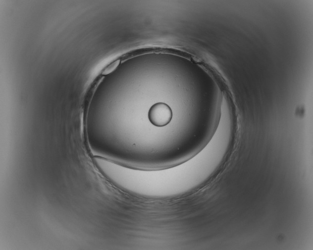 X0000113231320200909241513