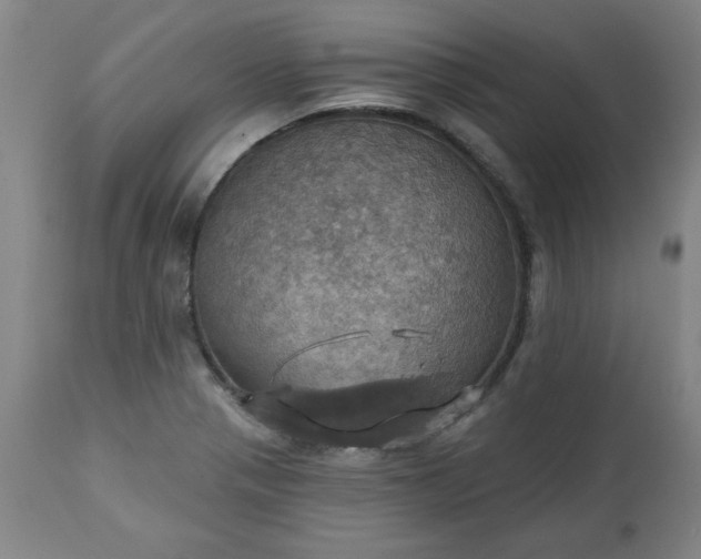 X0000113231321200909241513