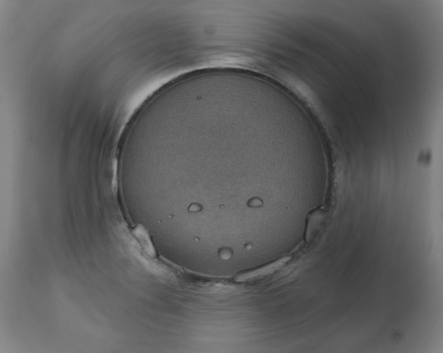 X0000113231324200909241513