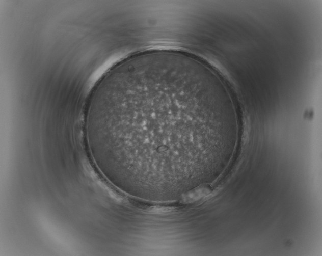 X0000113231325200909241513