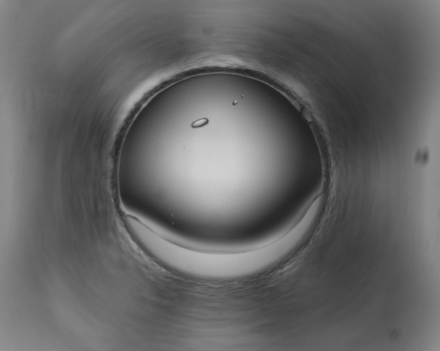 X0000113231326200909241514