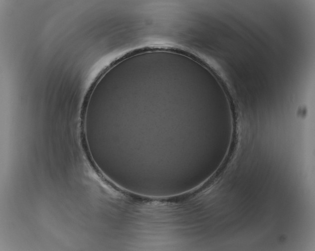 X0000113231327200909241514