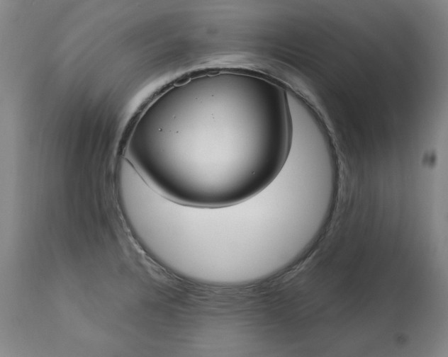 X0000113231328200909241514