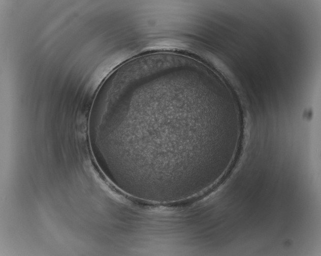 X0000113231329200909241514