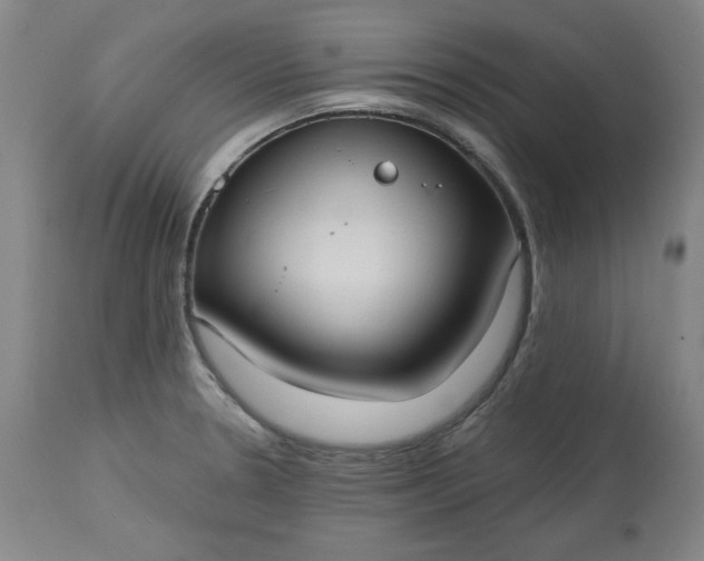 X0000113231330200909241514