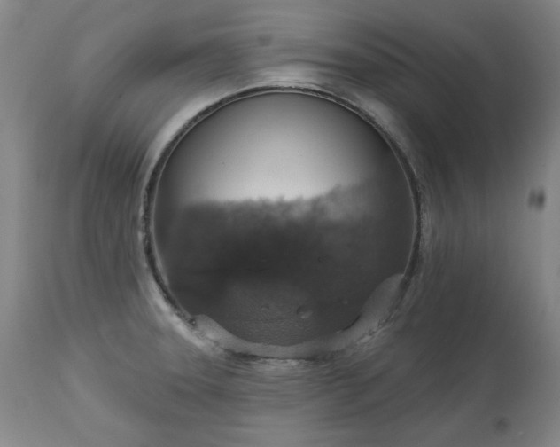 X0000113231331200909241514