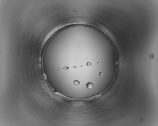 X0000113231332200909241514