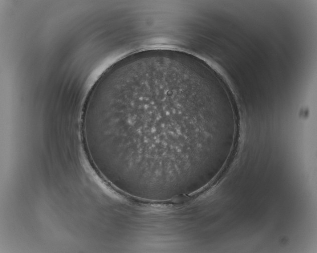 X0000113231333200909241514