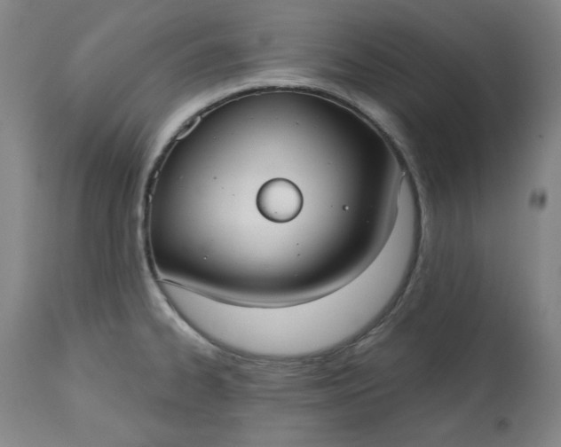 X0000113231334200909241514