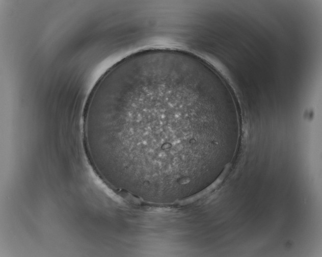 X0000113231335200909241514