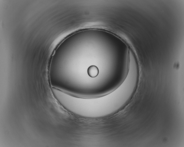 X0000113231336200909241514