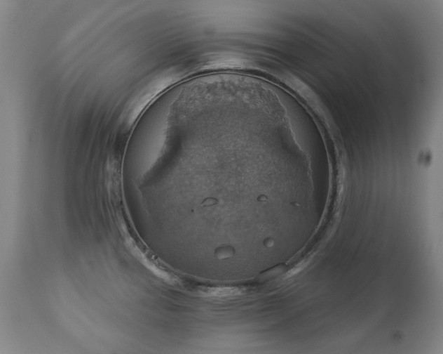 X0000113231337200909241514