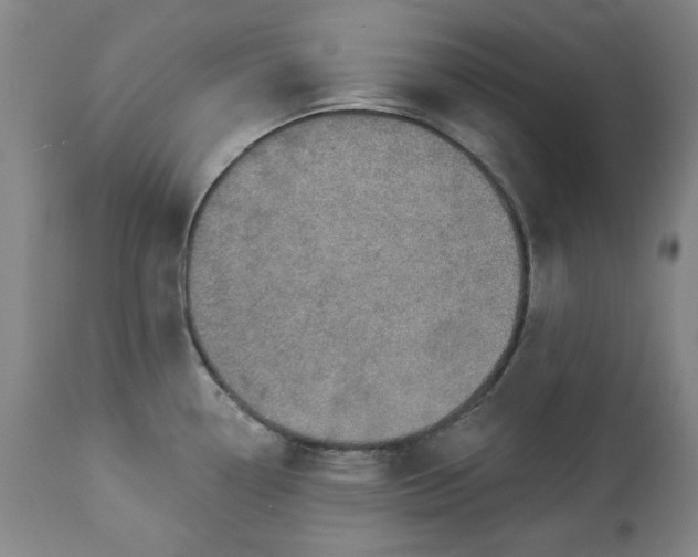 X0000113231338200909241514