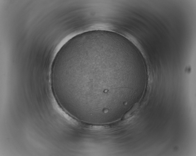 X0000113231339200909241514