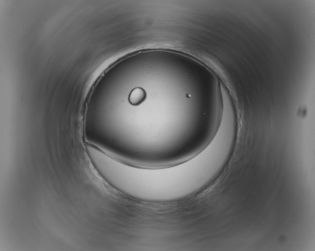 X0000113231340200909241514