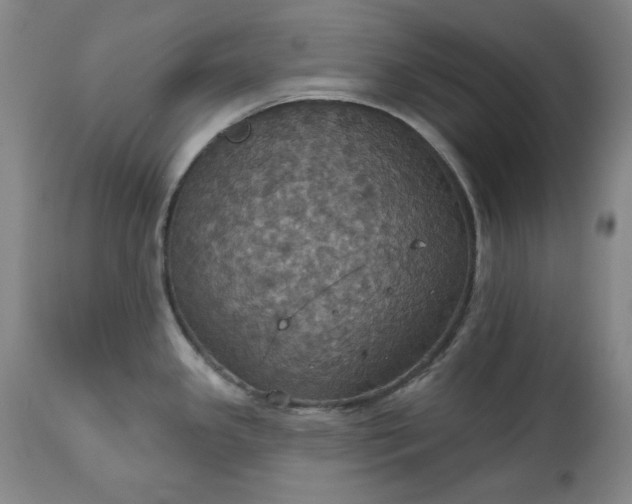 X0000113231341200909241514