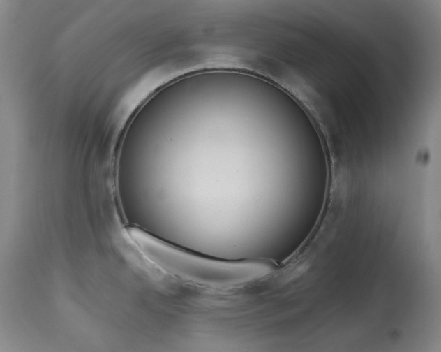 X0000113231342200909241514