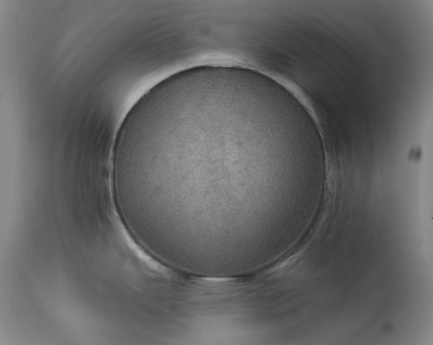 X0000113231343200909241514