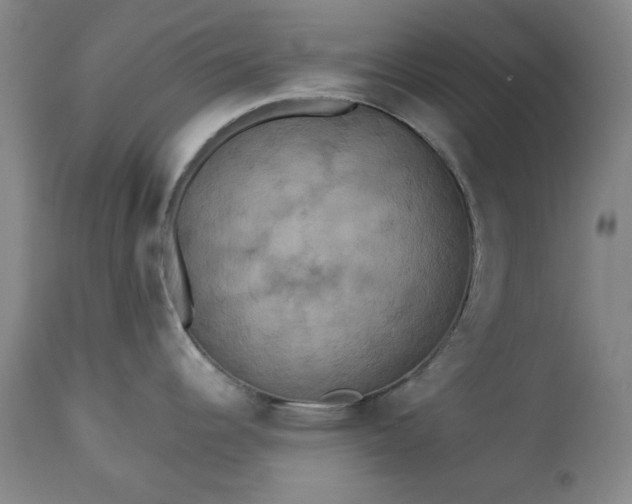 X0000113231344200909241514