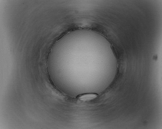 X0000113231345200909241513