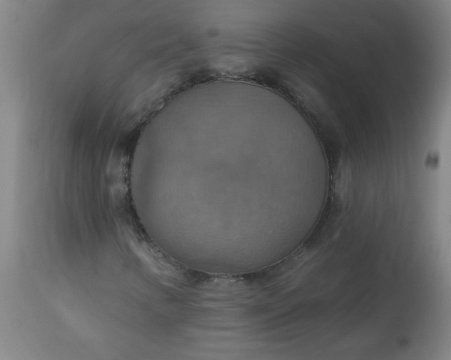 X0000113231346200909241513