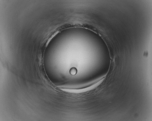 X0000113231348200909241513