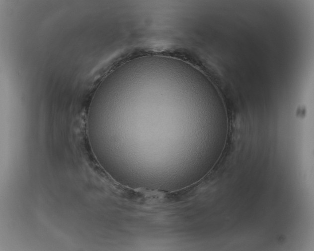 X0000113231349200909241513