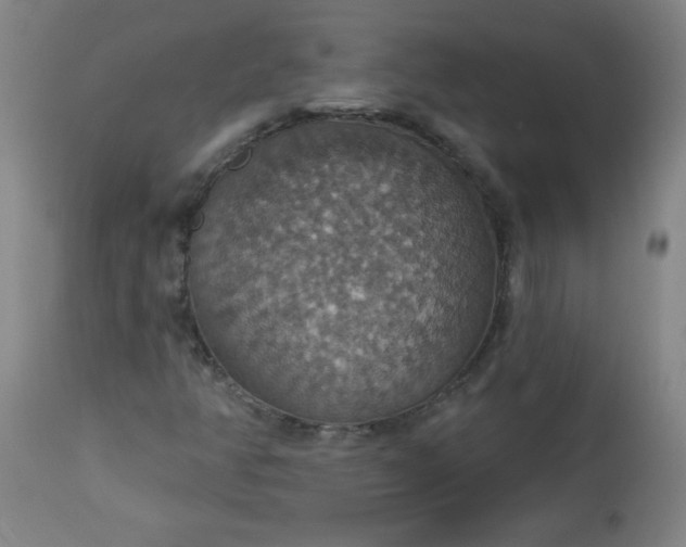 X0000113231350200909241513