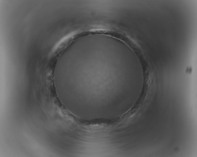 X0000113231351200909241513