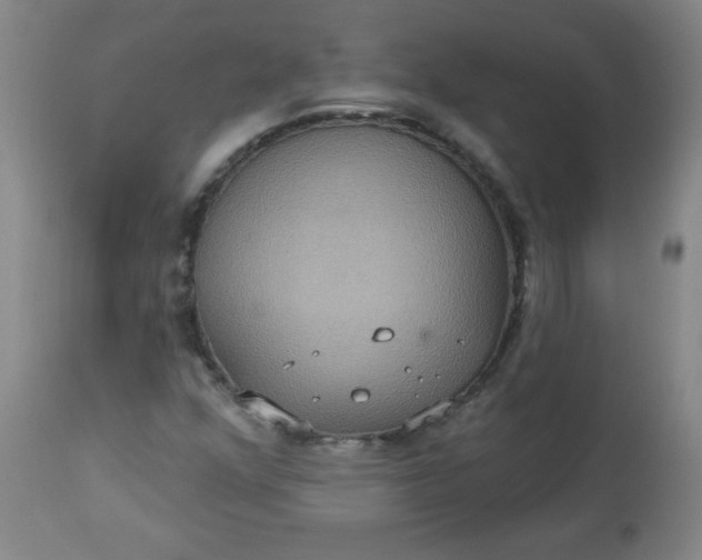 X0000113231352200909241513