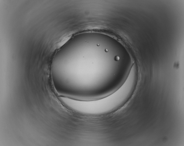 X0000113231353200909241513