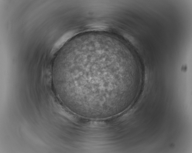 X0000113231354200909241513