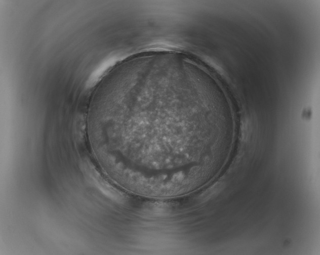 X0000113231355200909241513