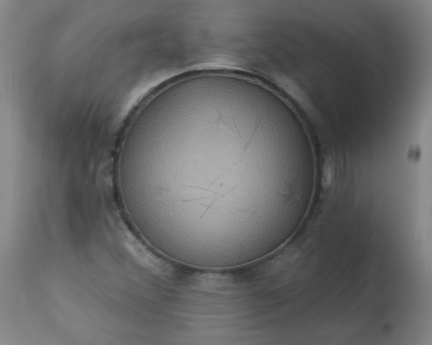 X0000113231356200909241513