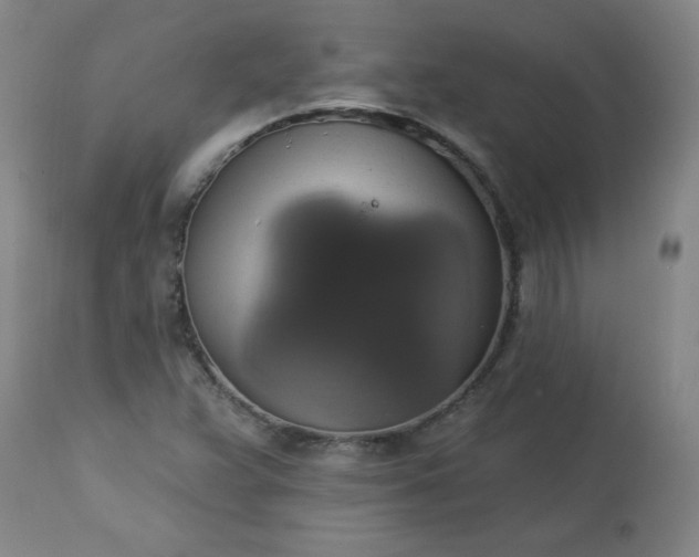 X0000113231359200909241513