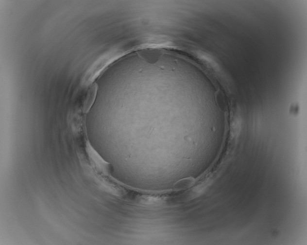 X0000113231361200909241513