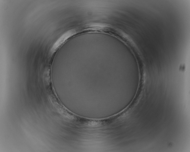 X0000113231362200909241513