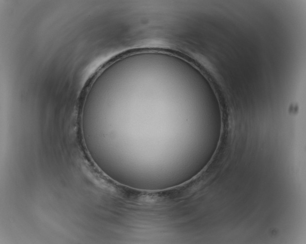 X0000113231364200909241513