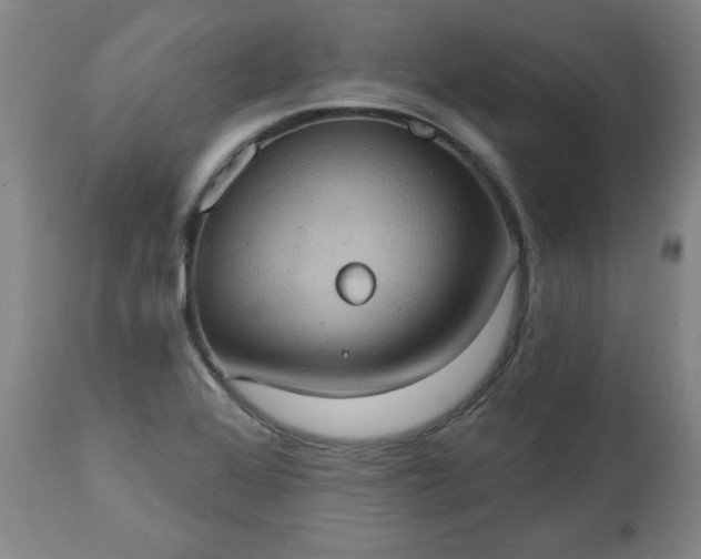 X0000113231368200909241513