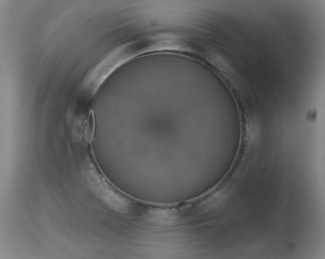 X0000113231369200909241513