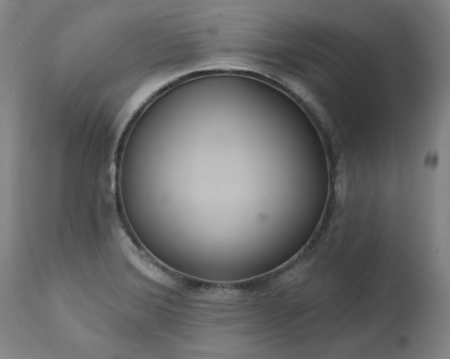 X0000113231372200909241513