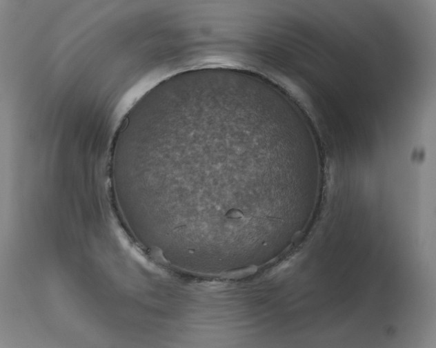 X0000113231373200909241513