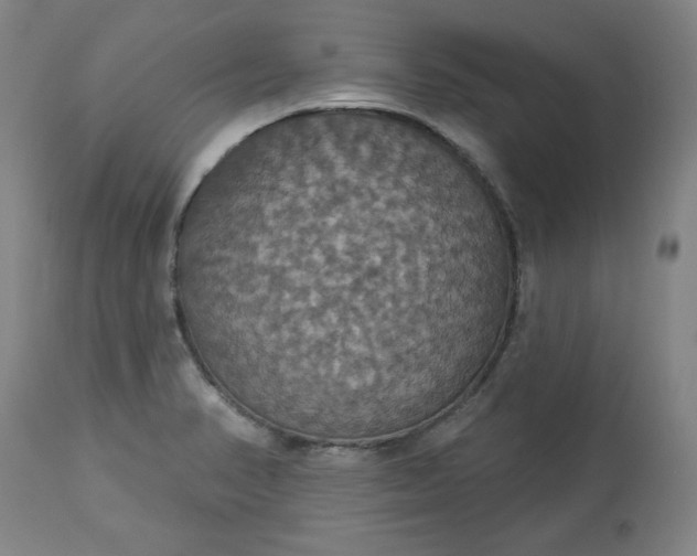 X0000113231374200909241513