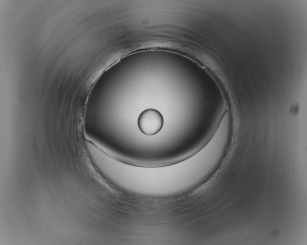 X0000113231377200909241513