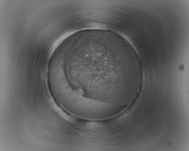 X0000113231379200909241513