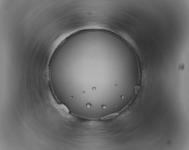 X0000113231380200909241513